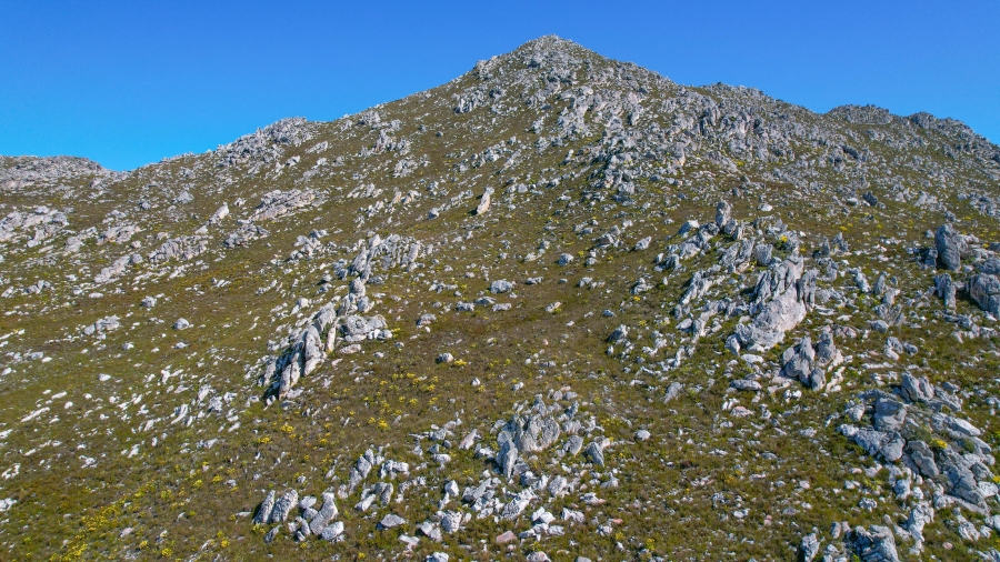 0 Bedroom Property for Sale in Pringle Bay Western Cape